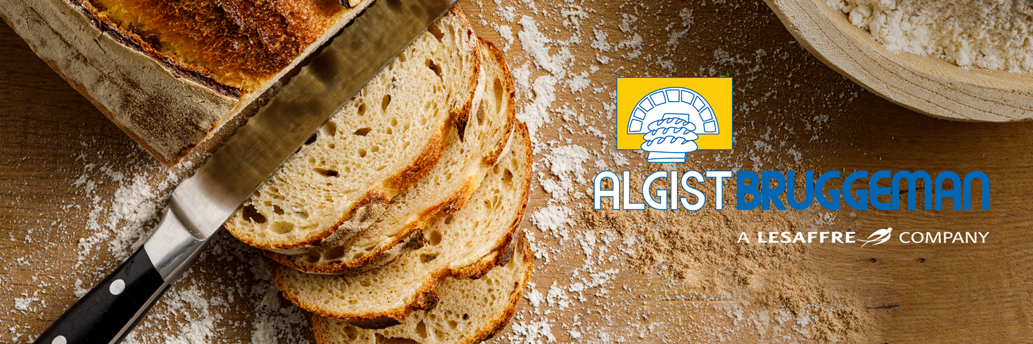Algist Bruggeman campagnebeeld